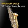 sa2_alto_sax.jpg