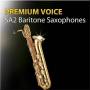 sa2_baritone_sax.jpg