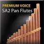 sa2_pan_flutes.jpg