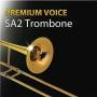 sa2_trombone_sax.jpg